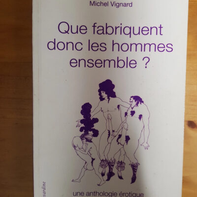 Que fabriquent donc les hommes ensemble ? Une Anthologie érotique Vignard Michel
