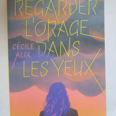 Regarder l'orage dans les yeux - Cécile Alix