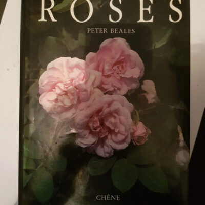Roses Peter Beales