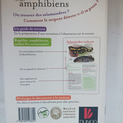 grenouilles